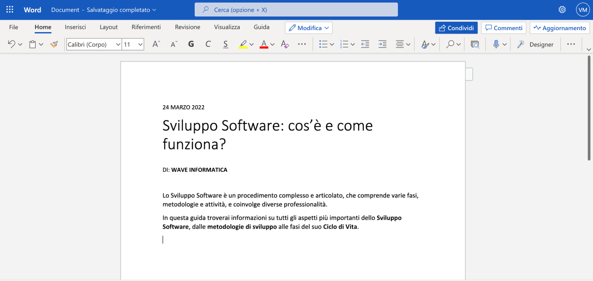 Schermata del Software di videoscrittura Microsoft Word
